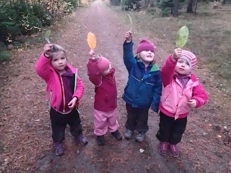 Siden vi har vært i skogen hver dag, har vi også hatt god tid til å utforske alle fargene naturen har å by på om høsten. Vi har gått på jakt for å finne blader med forskjellige farger.