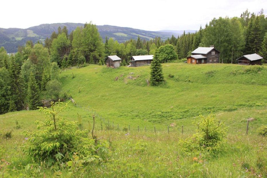 Oversiktsbilde over slåttemarka