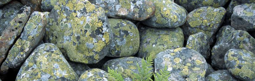 Lokal energiutredning Båtsfjord kommune 2011 5 løsninger. Energiutredningen skal oppdateres hvert andre år, eventuelt årlig dersom kommunene ønsker det.