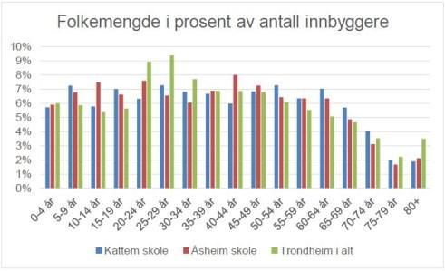 Nærområdet preges av blokk- og småhusbebyggelse. Bekken Søra ligger i dagen i et grøntdrag på nordsiden av Kattemskogen, før den går i rør under vegen og under Kattemskogen nr. 2 og 4.