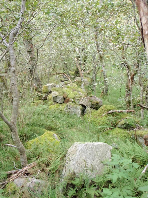 Segadal kraftverk - Miljøvurdering Side 34 Figur 25. Rester etter gamle steingjerder i skogsområdet ved østre elveløp.