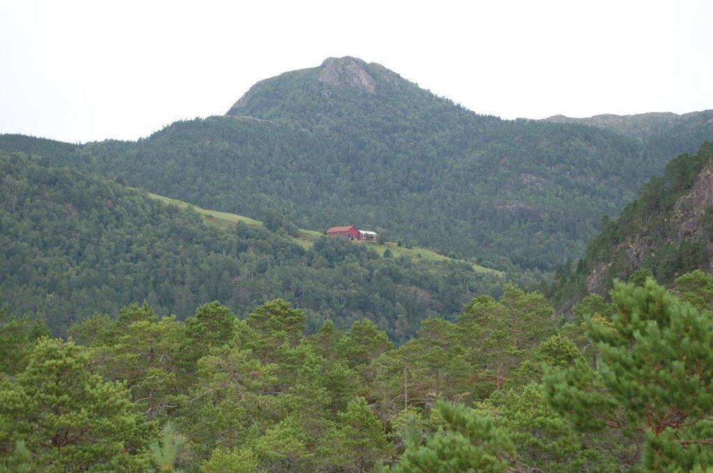 Åstan er med i nasjonal registrering av verdifulle kulturlandskap i Sør-Trøndelag.