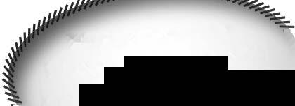 0: 0-0 - - -,a -9.00 0: 0 - - - - -,8a -89.000 Tot: - - - - CHIN CHIN 8,,AK 08.00 år ørkbr HP v. uscles Yankee (US) e. Sip The Wine (US) v. alabar an Oppdr.: Tone Wirkola Eier: agnar L.