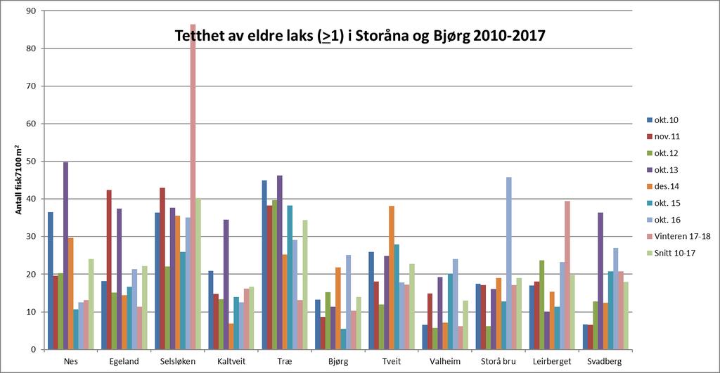 VEDLEGG 2 Tettheter av årsyngel og eldre fisk av laks og aure i Storåna og Bjørg, samt i Tusso. Figur 8.1.