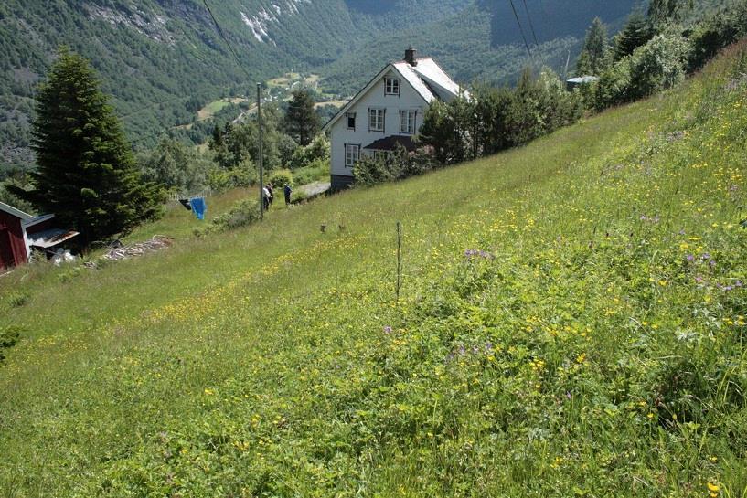 Ein ser også den avgrensa lokaliteten Ystegjerda nedom husa i aust.