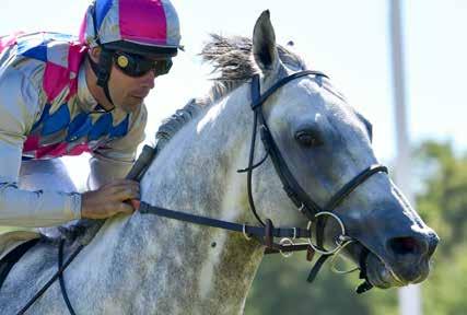 Fem Derbyvinnere i Oslo Cup Eye In The Sky vant i sesongdebuten på Gøteborg Galopp. I det ni hester store feltet til Oslo Cup (Gr3), finner vi hele fem Derbyvinnere.