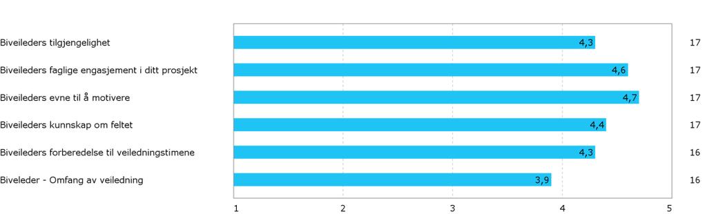 Én respondent kommenterer at biveilederen er veldig opptat t mens en annen mener at biveiledningsressursen fastsettes for tidlig slik at man må bestemme seg før man vet hva man trenger ekstra