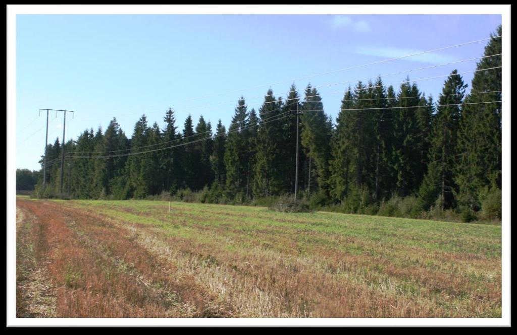 J e s s h e im n o r d - o m r å d e r e g u ler ing ) Foto 2 Oversiktsbilde over