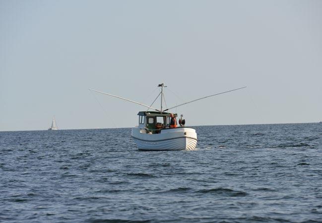 Næringsfiske og fritidsfiske Landbruk Reketråling er det viktigste fiskeriet i Telemark, både i mengde og verdi.