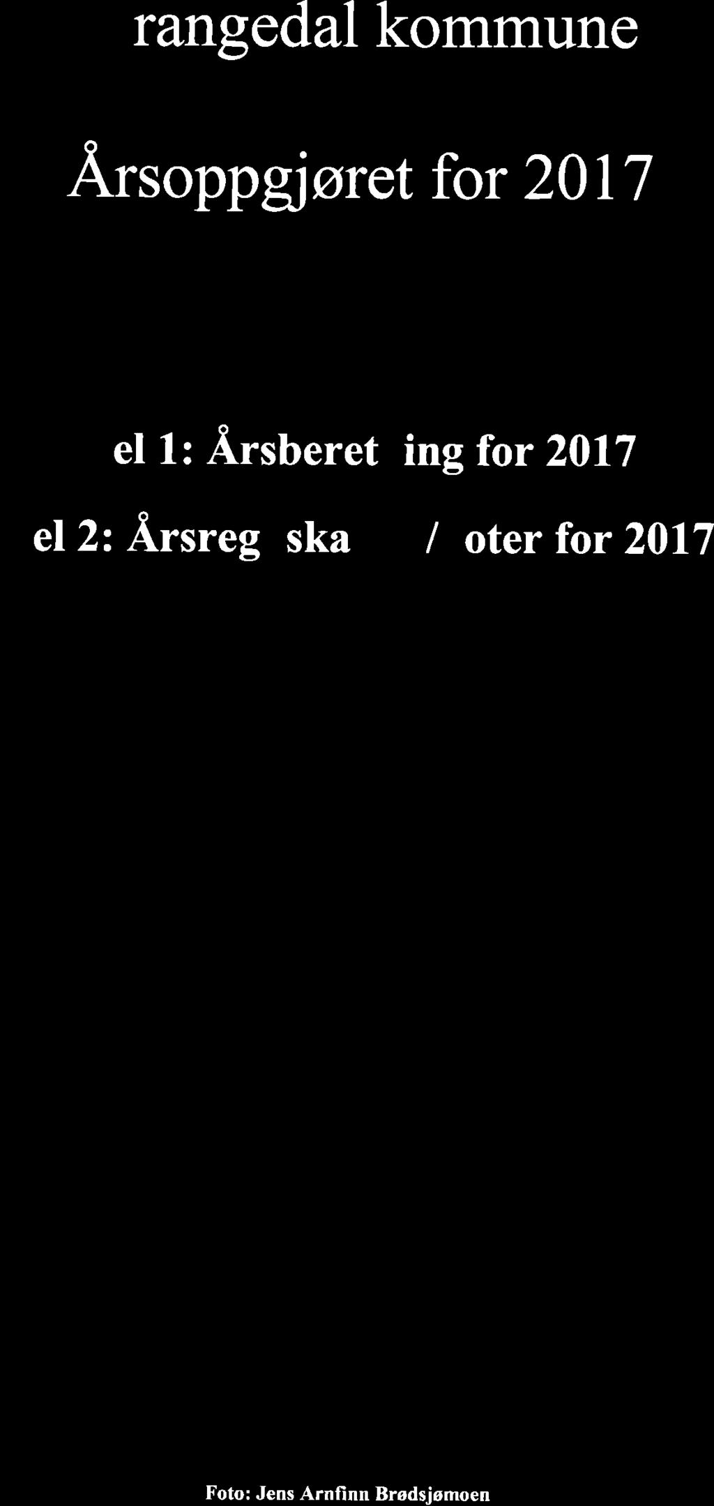 13/18 Årsregnskap og årsberetning 2017 for Drangedal kommune - kontrollutvalgets uttalelse - 18/06030-1