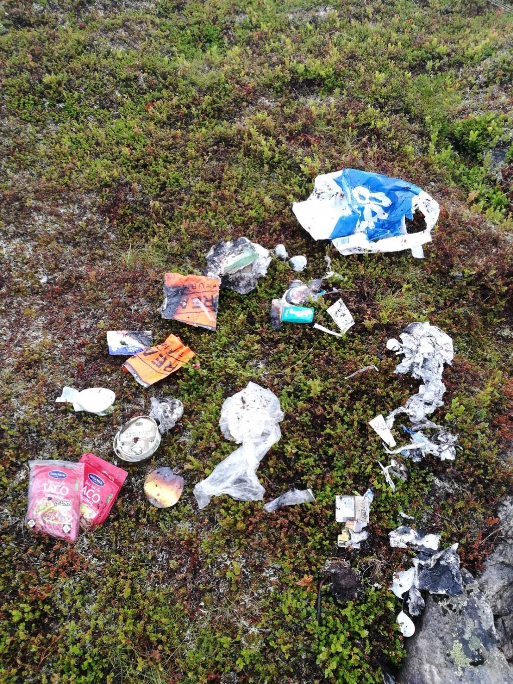 Søppelregistrering i Børgefjell nasjonalpark sommeren