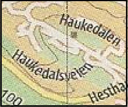 6. BESKRIVELSE AV PLANOMRÅDET (DAGENS SITUASJON) Planområdet er bebygget med et bolighus og en garasje, som beholdes. Løe, og et vognhus planlegges revet. Området er tilgrodd med kratt.