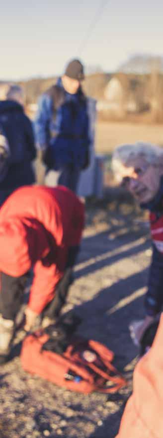 På alle turene vil du få Behagelig bussreise i nye turbusser Fotturer i ulik lengde Turledelse og omvisninger Utelunsj med kaffe og kake, servert på naturskjønne steder Stopp med overraskelser;