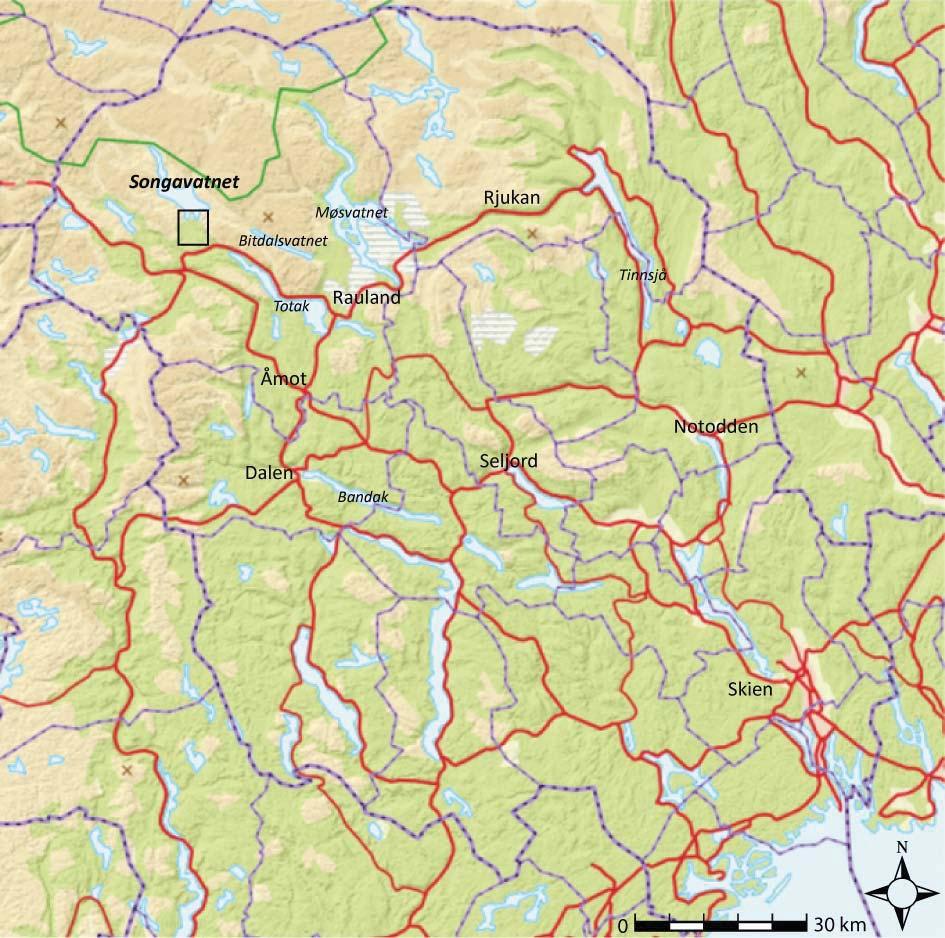 4. Materialer og metoder 4.1. Områdebeskrivelse De registrerte områdene ligger i tilknytning til Songa dam i Vinje kommune i Telemark (Figur 4.1-1).