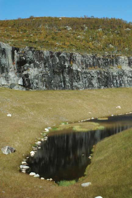 Det ble observert enkelte tilfeller av avfall (rester etter anleggsarbeidet) i overflaten i den nedre delen av sørhellingen og i vannet.