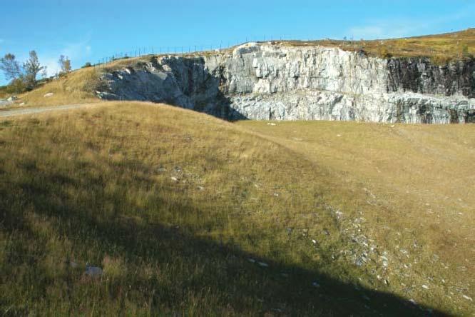 Artene i de fuktige områdene var først og fremst lokale arter. Bildet tatt 12.09. 2005 (Foto: P.