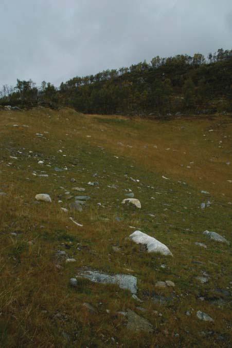 Skråningenes avslutning mot det opprinnelige terrenget var stort sett bra (Figur 5.4-3), men overgangen mot myra nord for skråningen var litt skarp.
