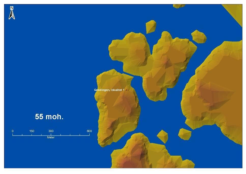 Fig. 12: Lokalitetens beliggenhet ved en strandlinje på 55m over dagens. Ved dette havnivået har lokaliteten ligget strategisk plassert ved en liten vik og en relativt trang kanal.