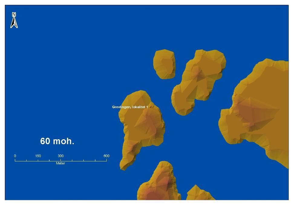 Samtidig har de trange sundene sannsynligvis vært næringsrike biotoper i form av skjell, fisk, sel og sjøfugl (grafikk: M. Samdal). Fig.