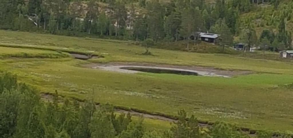 Vedlegg: Foto frå Svorkmyran naturreservat Det skal normalt