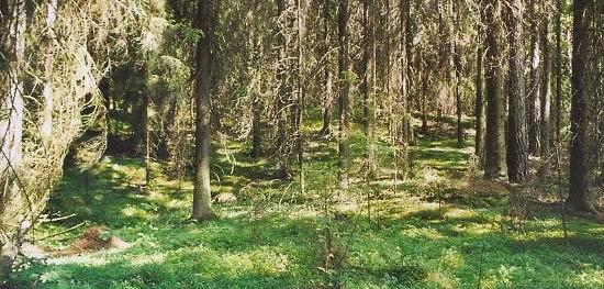 Vurdering av verdi og sårbarhet Naturreservatene, deler av Vigga og et utvalg av spesielt interessante lokaliteter er gitt stor verdi.