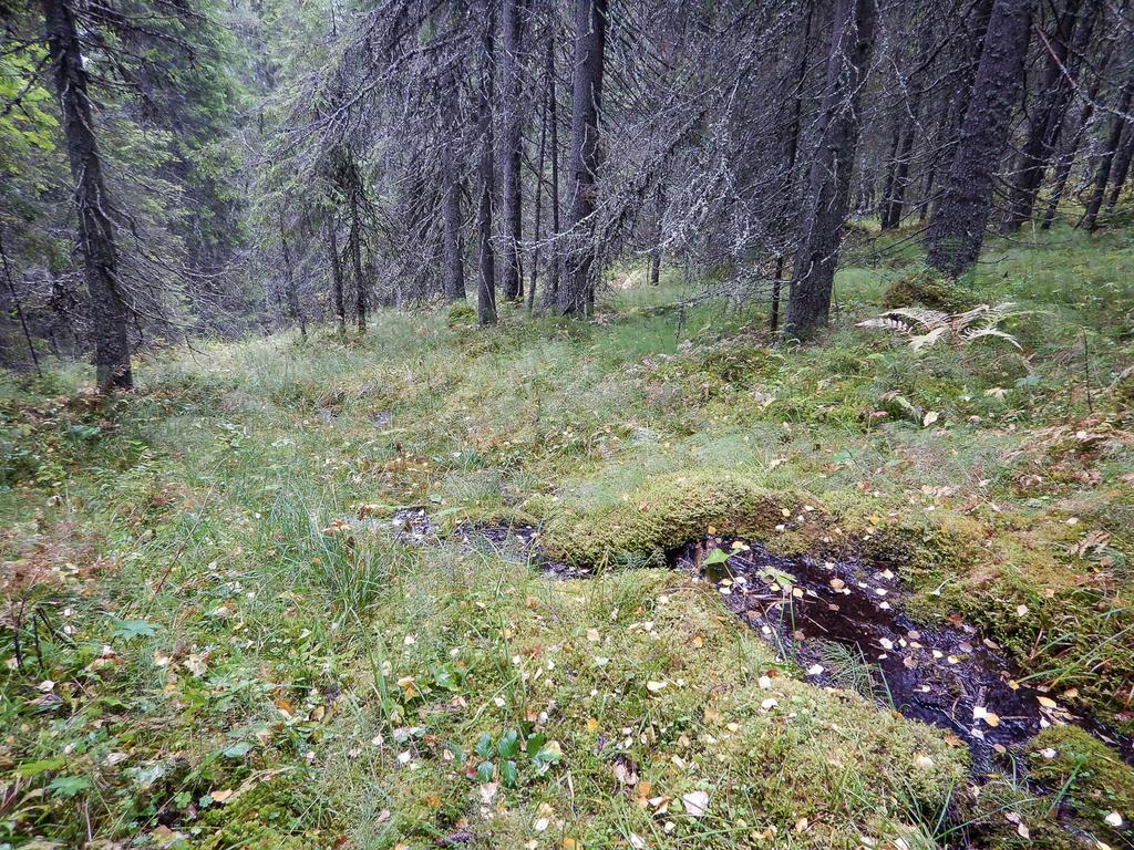 Foto: Kim Abel I kjerne 3 er det et stort