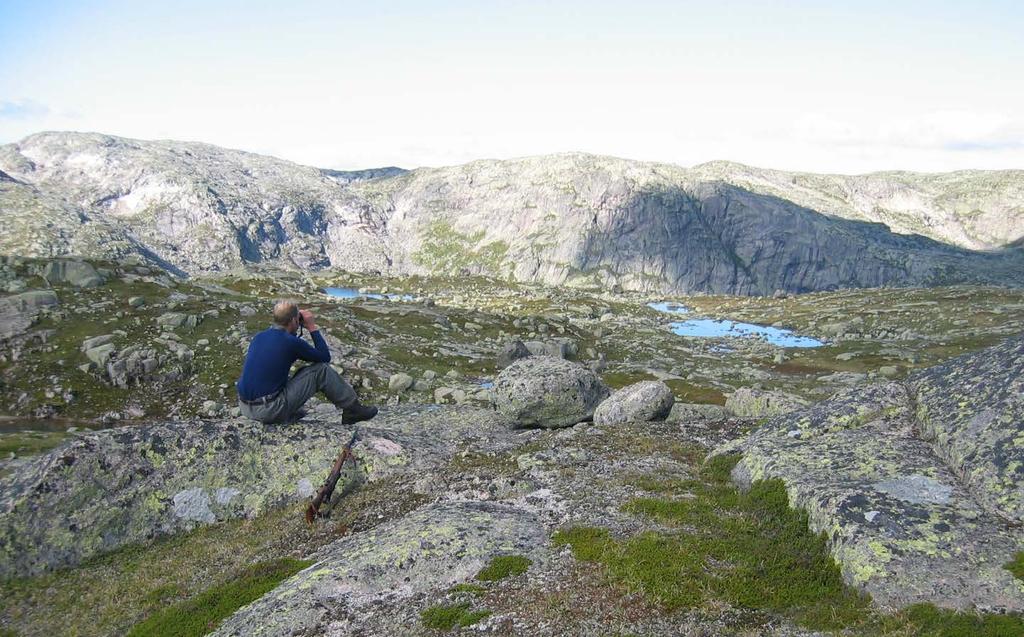 Utfordringer i villreinforvaltningen Bestandsforhold (stammestørrelse, demografi, kondisjon, kalveproduksjon, genetikk, helse) Leveområde; ressurstilbud & -fordeling,