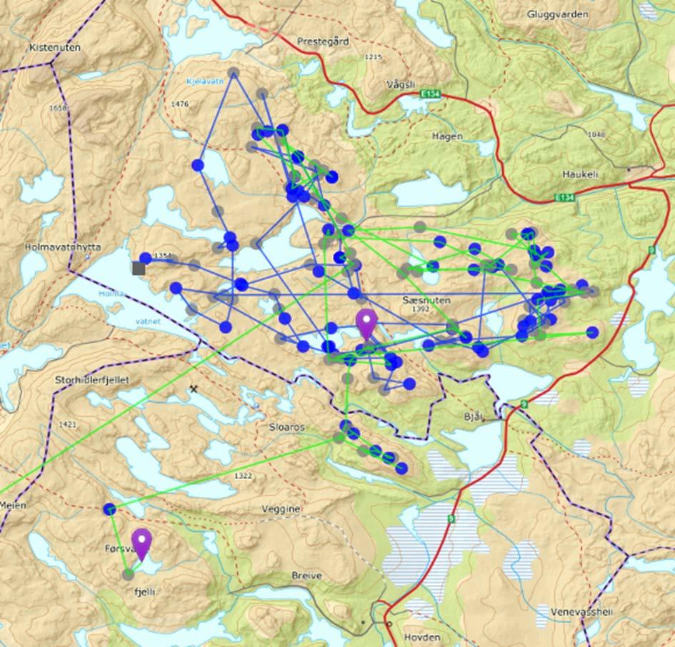 Nordområdet etter