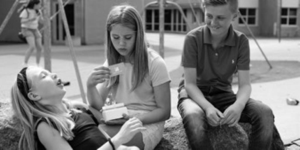 relasjoner, verdier og følelser spesielt i forhold til klassen og skolen, men også i forhold til samfunnet i sin helhet.