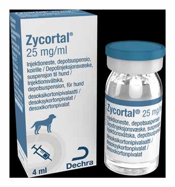 Zycortal Zycortal er en depotsuspensjon som brukes som substitusjonsbehandling ved mineralkortikoidmangel hos hunder med primær hypoadrenokortisisme (Addisons sykdom).