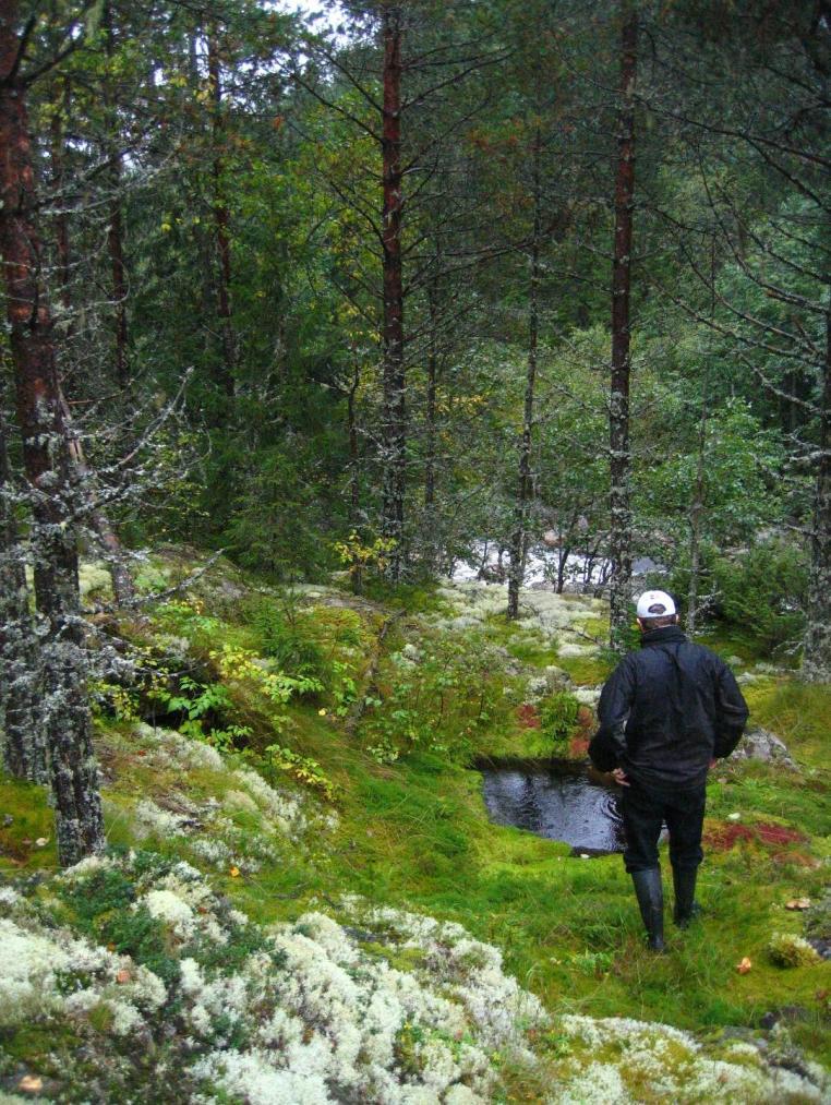 Konsesjonssøknad for utbygging av Eidsåa Kraftverk 17 Eidsåi, nedre (fossen), som omfatter fossefallet og bekkekløften omkring Eidsåi mellom Pålehagen og Bakken.