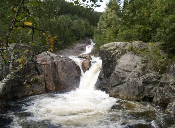 Konsesjonssøknad for utbygging av Eidsåa Kraftverk 28 Med tanke på øvrige ferskvannsorganismer tilsier forholdene i mye av elva med grovt substrat og raske vannføring at det ikke forventes truede