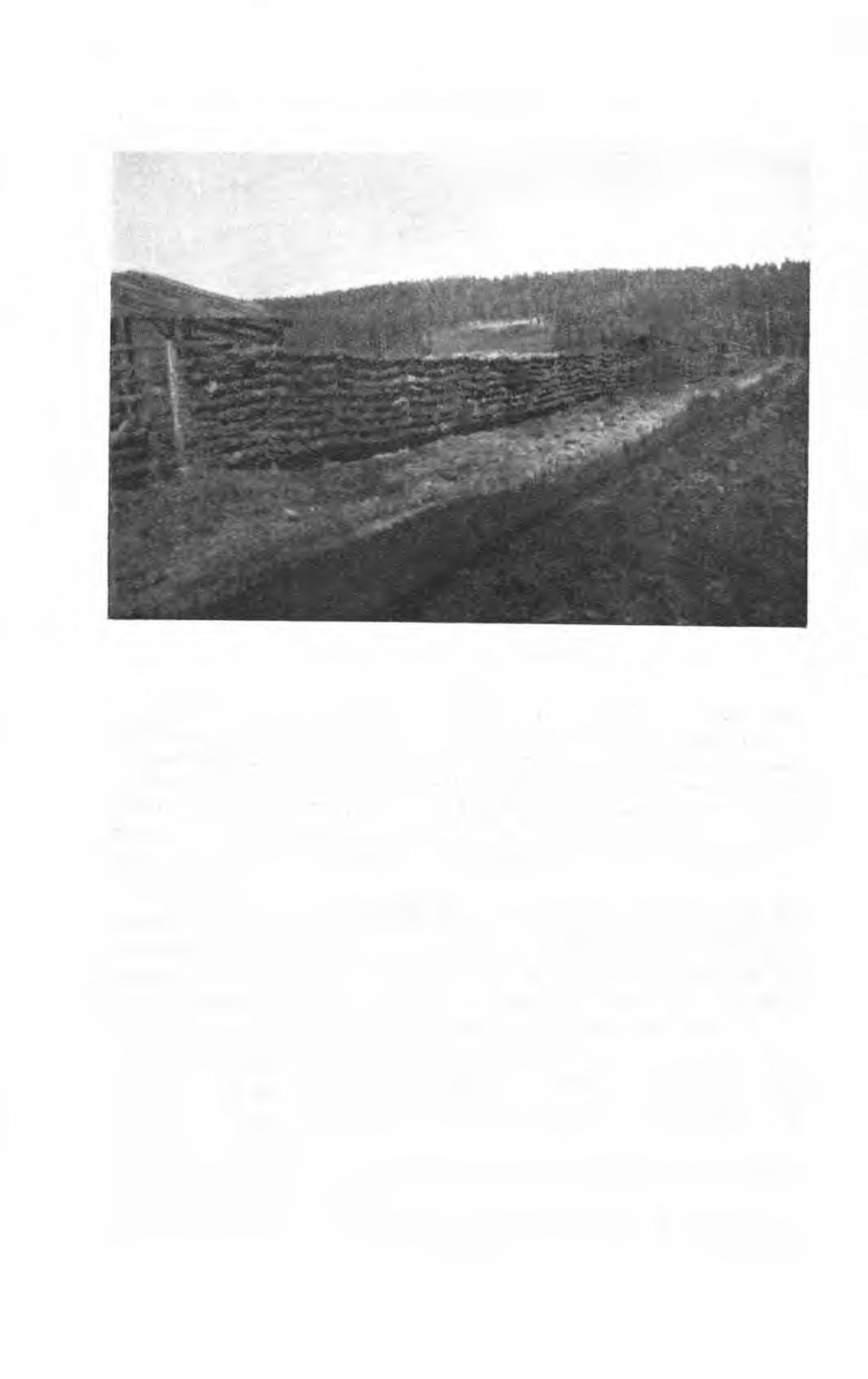 VÆR OG TORVTØRK Fig. 4. Bjanes' torvstrøhesje. Ved et privat anlegg på Østlandet blev der f. å.
