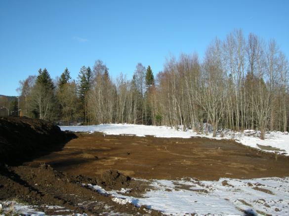 4 KILDEKRITISKE FORHOLD Det kalde været med snø og frost forårsaket ingen problemer som hadde innvirkning på tolkning av feltene. 5.