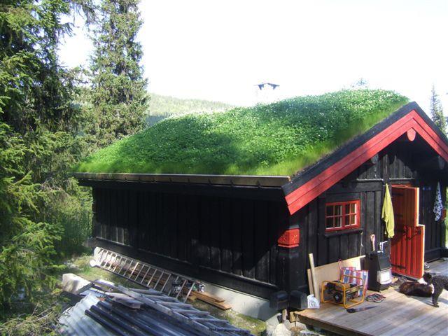 Bioresten fra biogassanlegg Hva kan den brukes til?