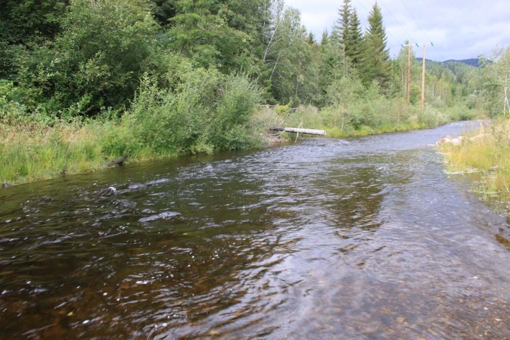 Buvasselva, Sør-Aurdal kommune. 1.9.2009.