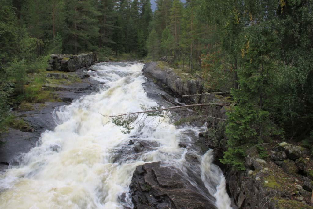 Foto: Geir Høitomt  Vandringshinder ved Kverna.