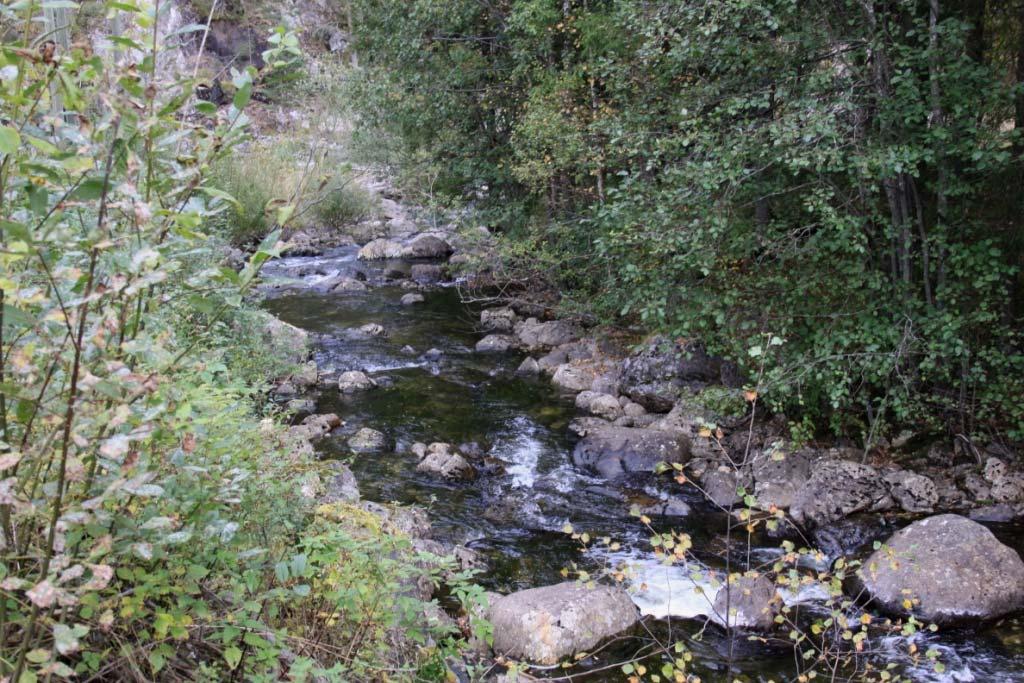 Islandselvi, Sør-Aurdal kommune.