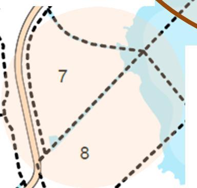 I tillegg vil Bybanen gå langs hele (Alt 1) eller deler (Alt 2) av delområdet.