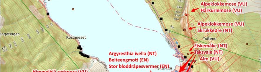 Et funn av solblom Arnica montana (VU) på Røstaneset er fjernet fra kartet, som følge av åpenbart feilplott (stedsangivelsen viser at funnet er gjort i Ørskog kommune). 3.2.