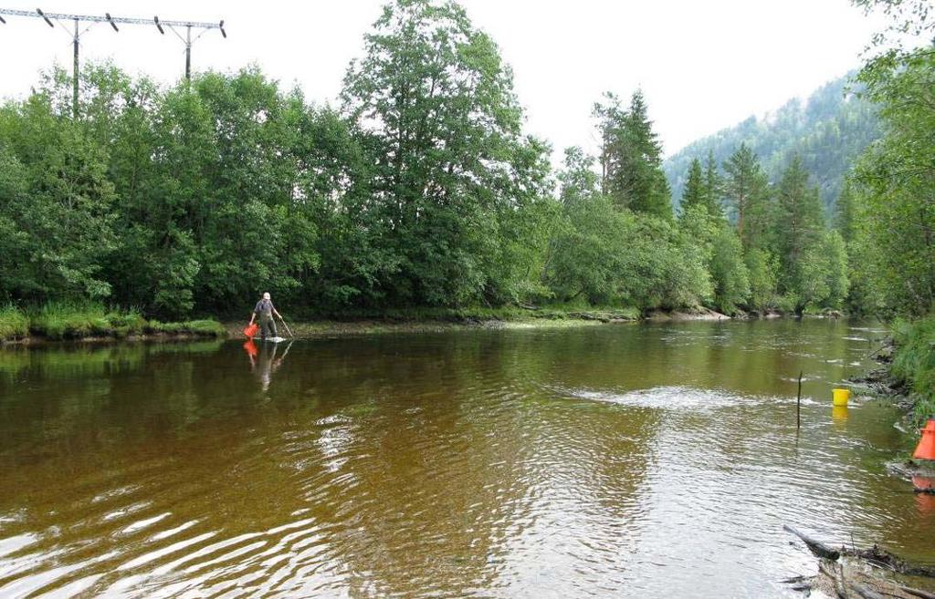 Figur 5.16. Lokalitet 4b sett ovenfra. Bildet er tatt 13.8.2008. Lokalitet 7 Dette området tilsvarer lokalitet nr. 6 i undersøkelsen fra 1998 (Kiland og Simonsen 1998).