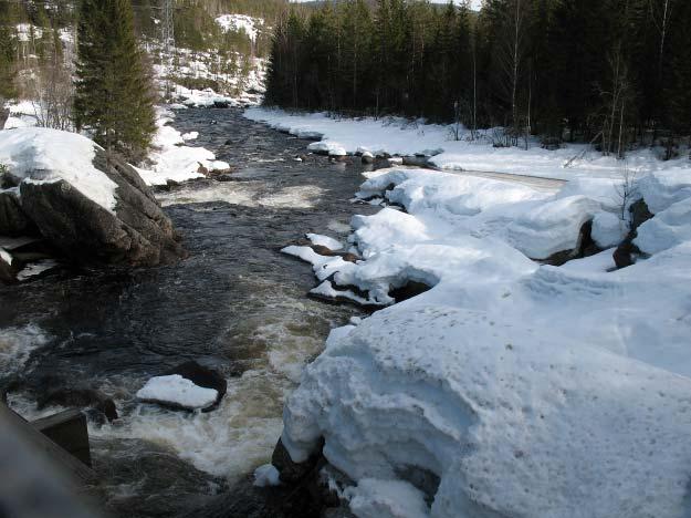 Figur c viser situasjonen ved Elgevad ved lav vannføring Tiltakets virkninger på fisk i Skogsåa er framfor alt knyttet til en reduksjon av produksjonsarealer.