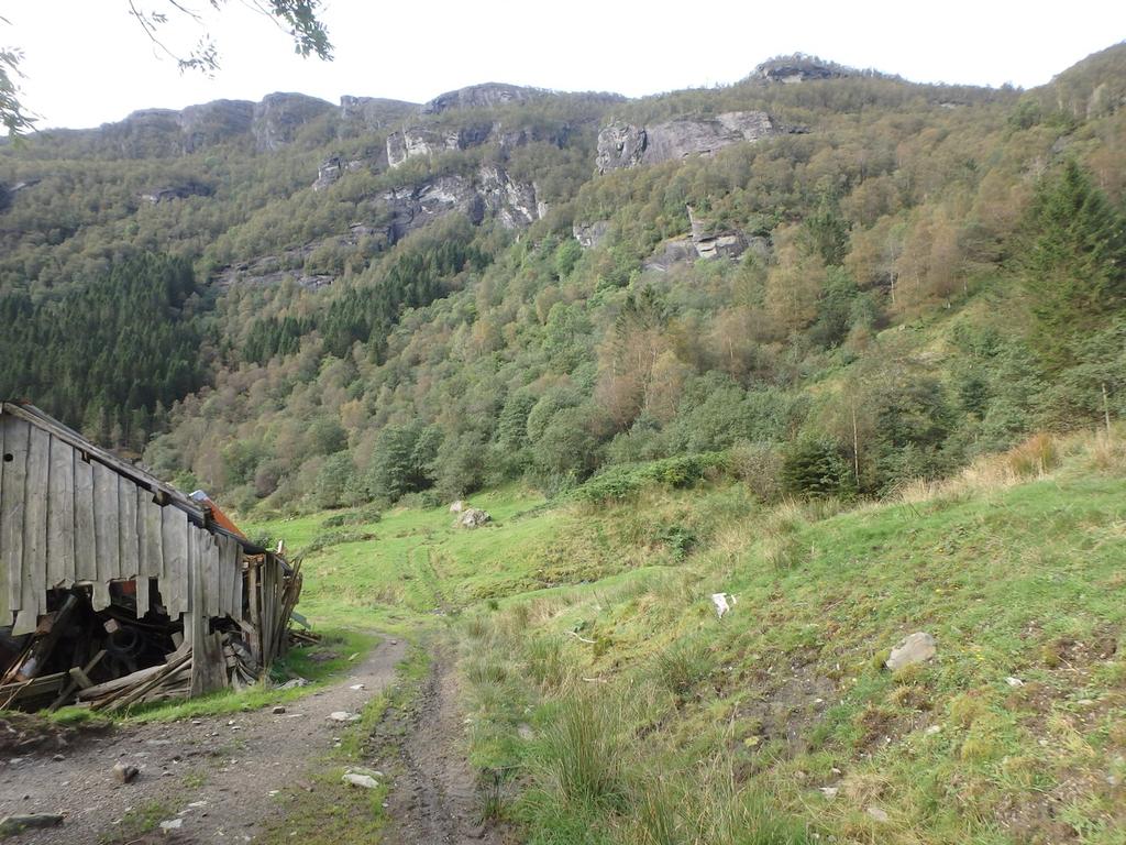 Bilder fra området Træshaugen