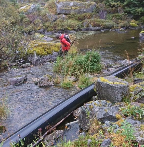 I det øverste området ble det kun fanget to røyer, på hhv. 7.6 og 11 cm. Disse fiskene har trolig blitt skylt over dammen ved siste overløp.