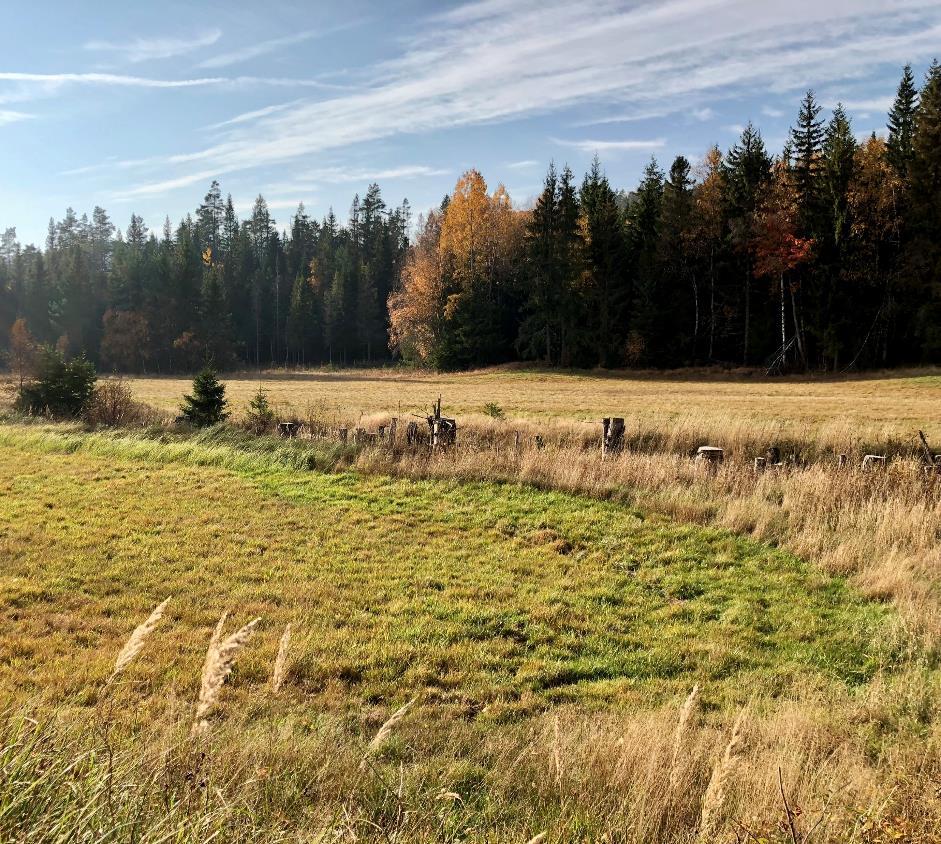 Standardvekt for rundball 750 kg I Vedlegg 2 i Bioforsk rapporten «Fastsetting av normavlinger i eng» står det litt om bakgrunnen for at standardvekten