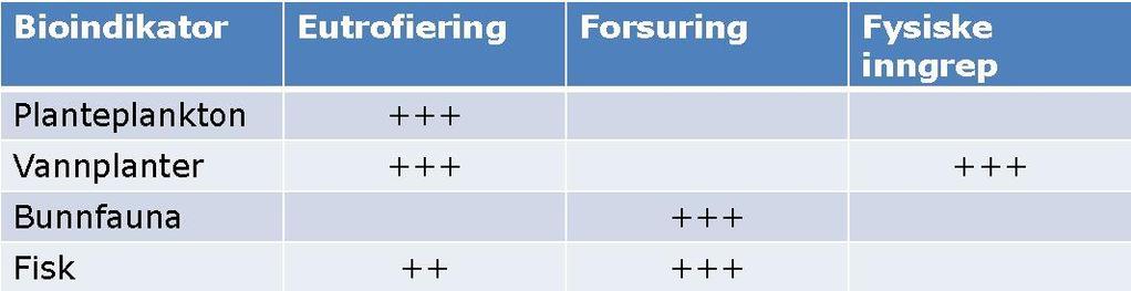 Kva er beste bioindikator for