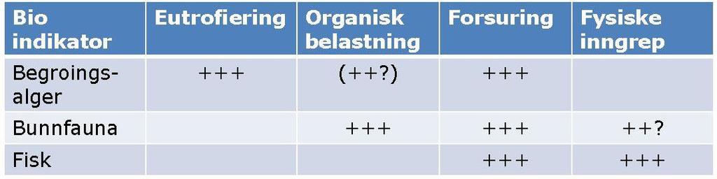 Kva er beste bioindikator for