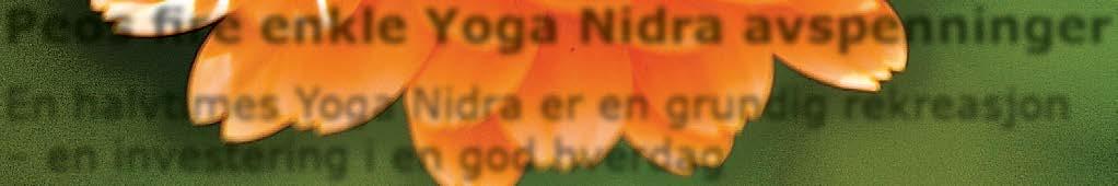 enkle Yoga Nidra