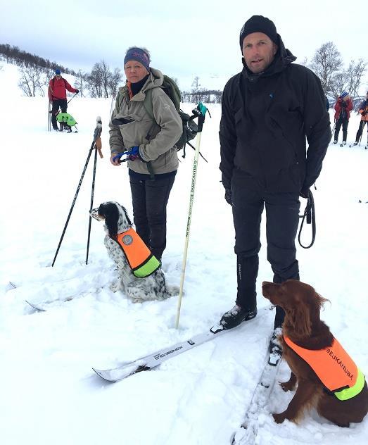 Stand inn mot liten kolle. Når fører kommer til letter rype presist foran og Myte som roes i oppflukt og skudd. Senere i slippet går Myte meget godt.