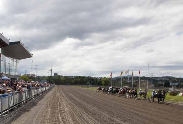 Midtsommertravet 2017 Årets høydepunkt arrangeres på Leangen Travbane fredag 23.